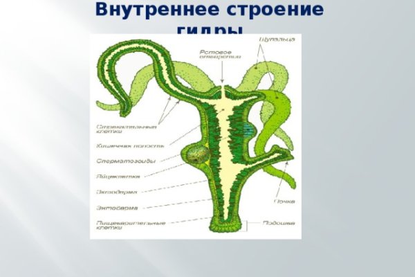 Кракен сайт в тор браузере