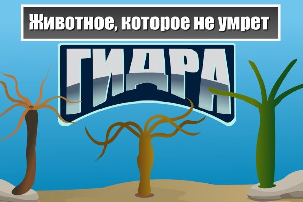Kraken магазин