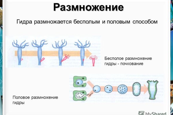 Кракен купить порошок krk market com