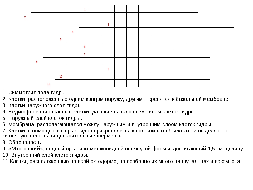 Сайт кракена в торе